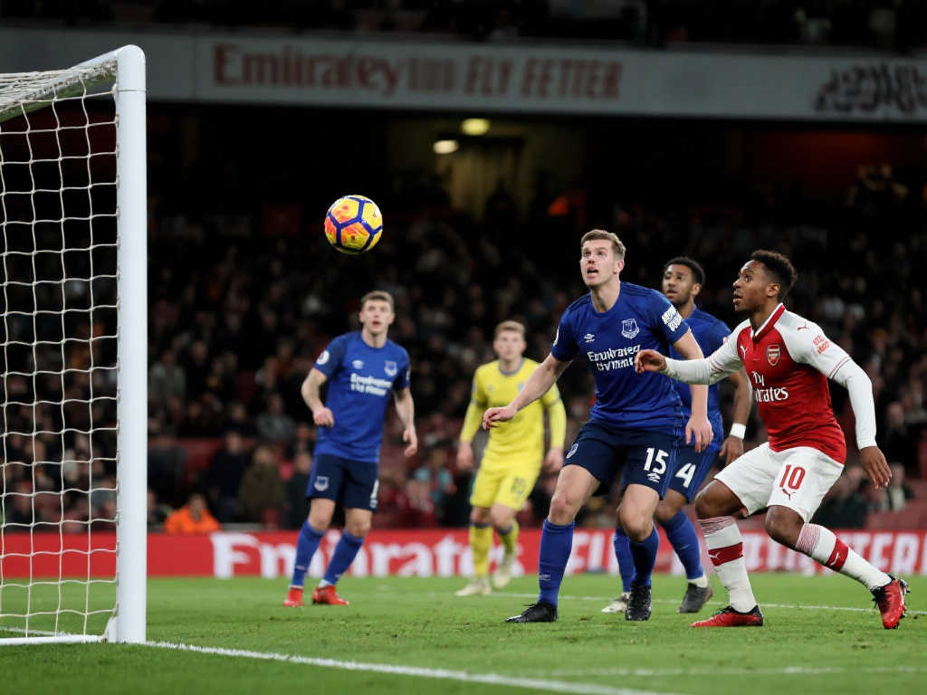 他们在球员 他们在球员